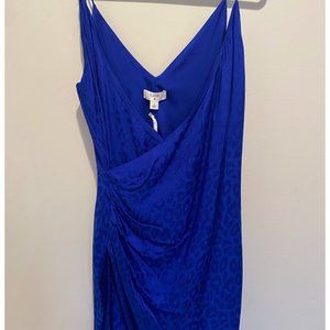 Cushne Blue Dress (Target Dress with tags!)